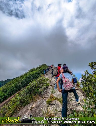 IMG 20250510 120241-1