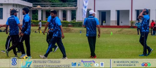 IMG 3124-copy