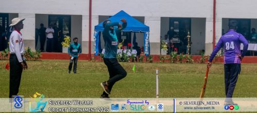 IMG 3252-copy